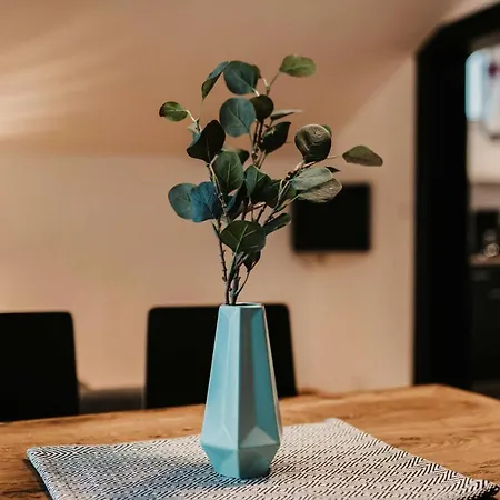 Gemuetliche Apartman Wagrain